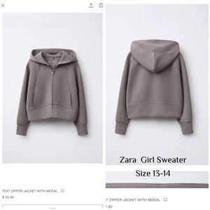 Zara Taupe Zipper Hoodie